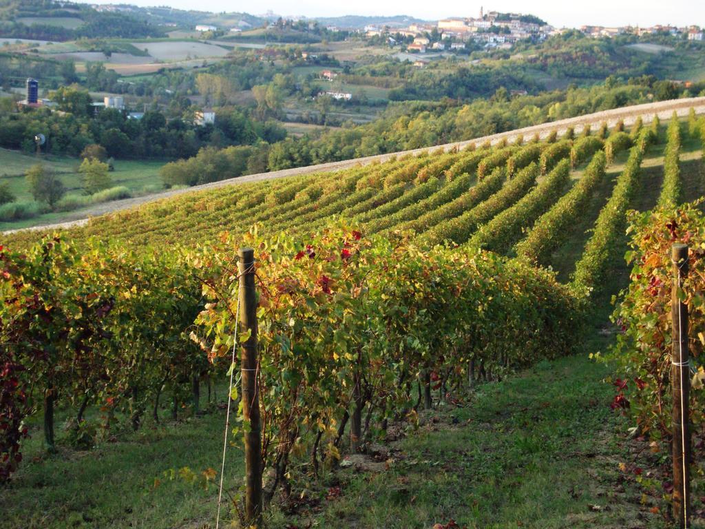 La Commedia Della Pentola Pensionat Lu (Piedmont) Eksteriør billede